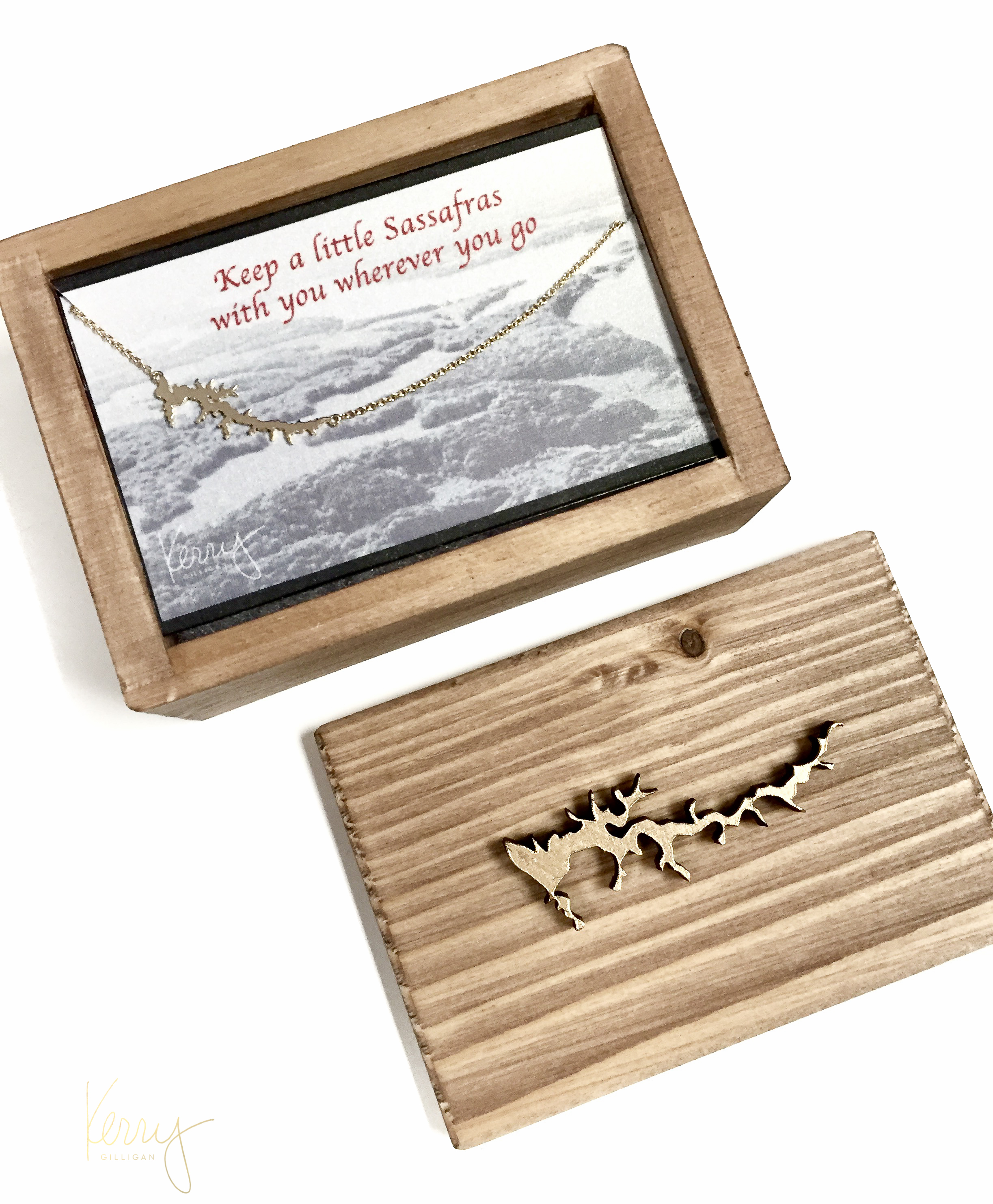 sassfras in box.jpg