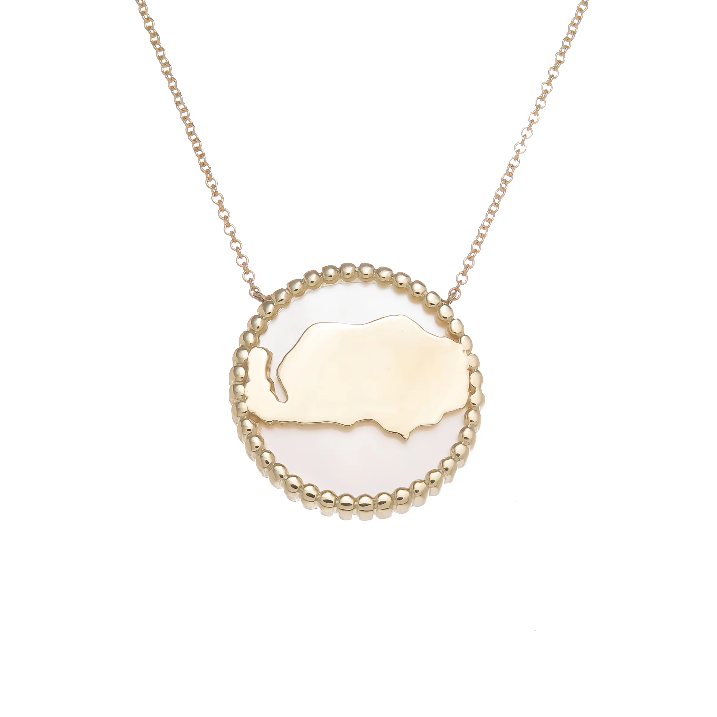 white sand lake interchangeable necklace with mop.jpg