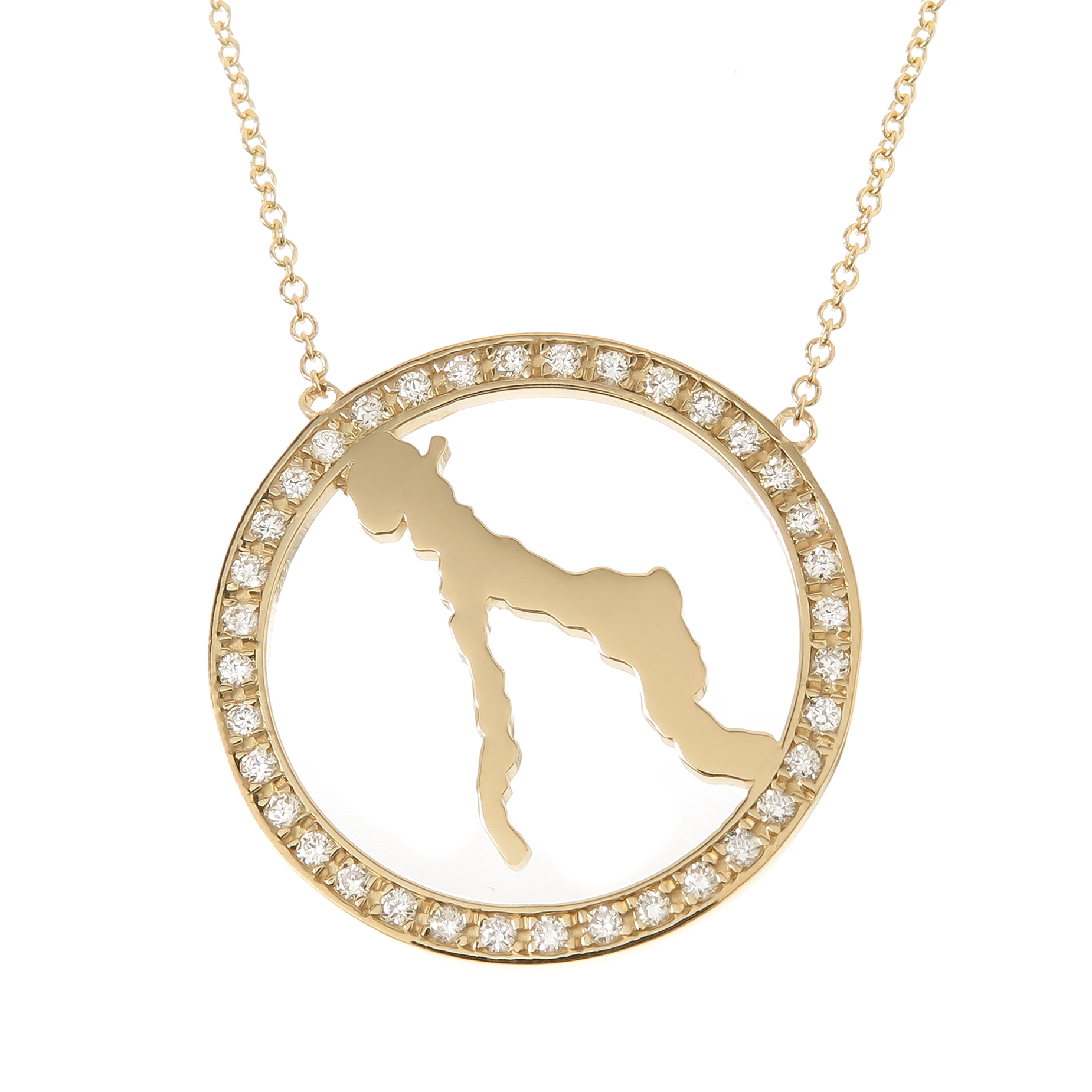 Large Diamond Lake Charlevoix Necklace by Kerry Gilligan in solid 14k yellow gold.jpg