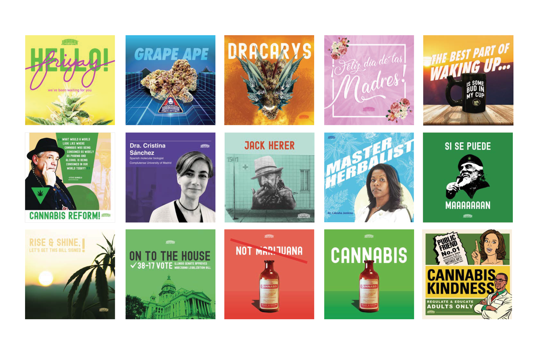 Cannabis_PortfolioImages_SergioLopez4.png