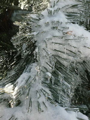 A Crack in the Ice? An In-Depth Breakdown of the TTM Trial