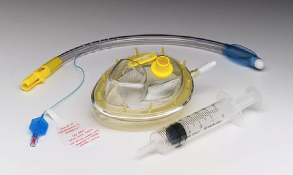 More than You Ever Wanted to Know About Extra Glottic Devices