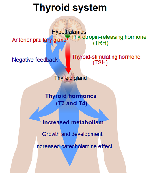 Grand Rounds Recap - 2/18/2015