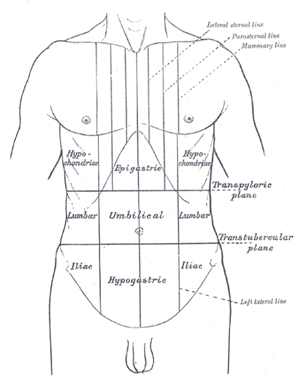CT Abdomen and Pelvis - Hollow Viscus