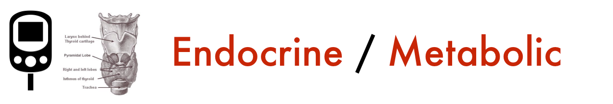 endocrine header.png