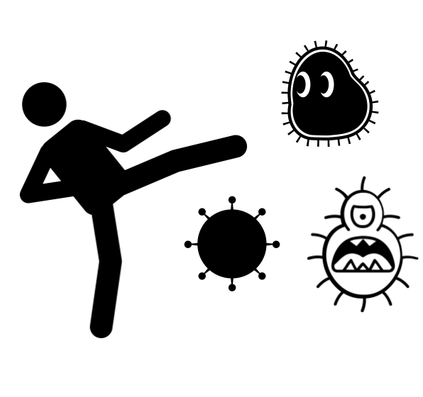 "Fighting the Bugs" - Recap