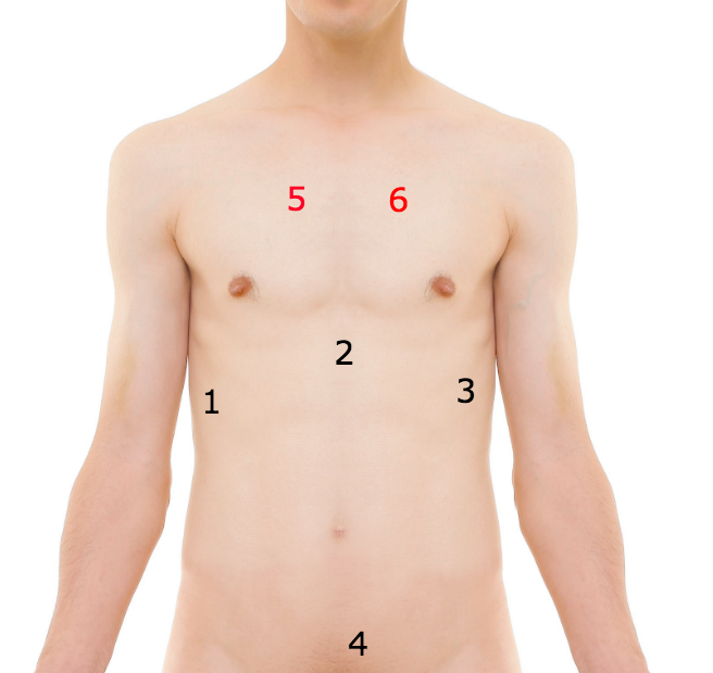 DERIVATIVE WORK: MIKAEL HÄGGSTRÖM ANTERIOR VIEW OF HUMAN MALE: Public Domain