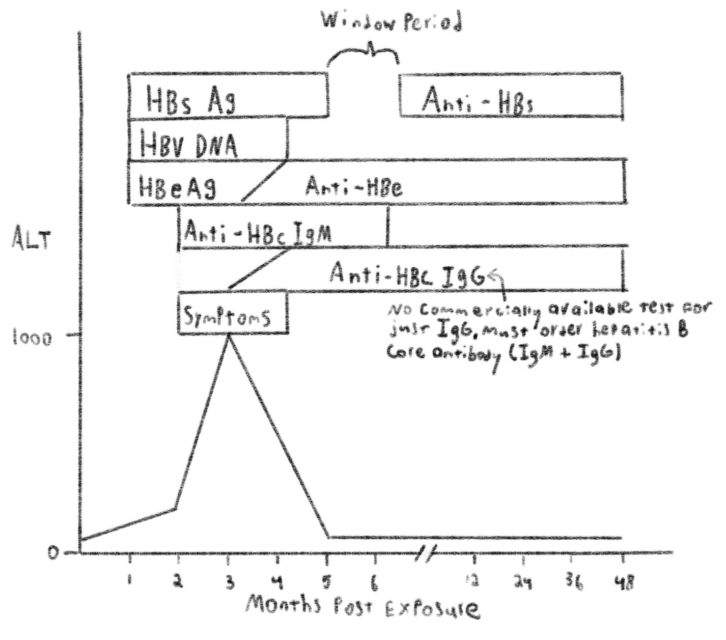 Hep B Serology Chart