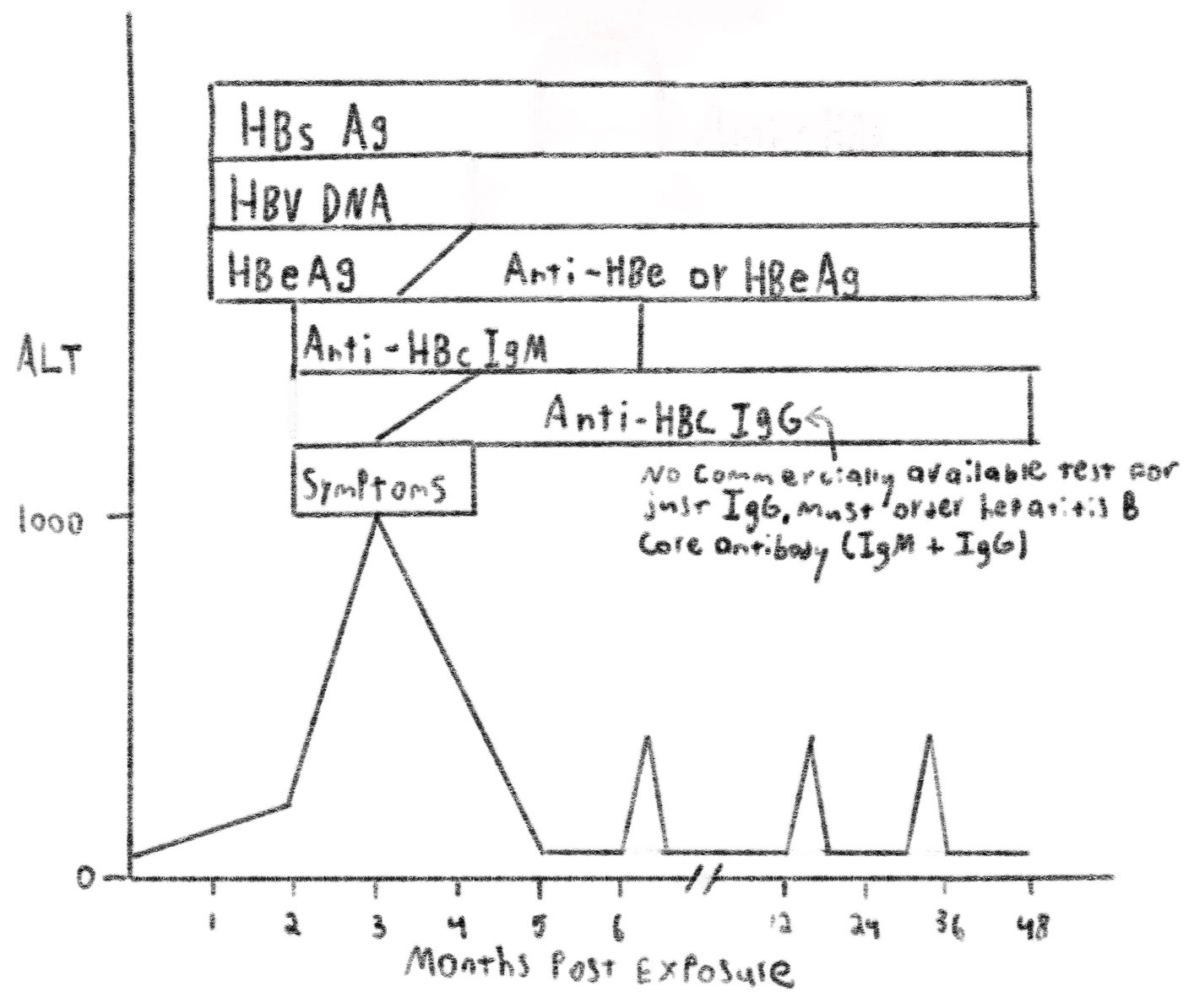 Chronic Hepatitis B Infection