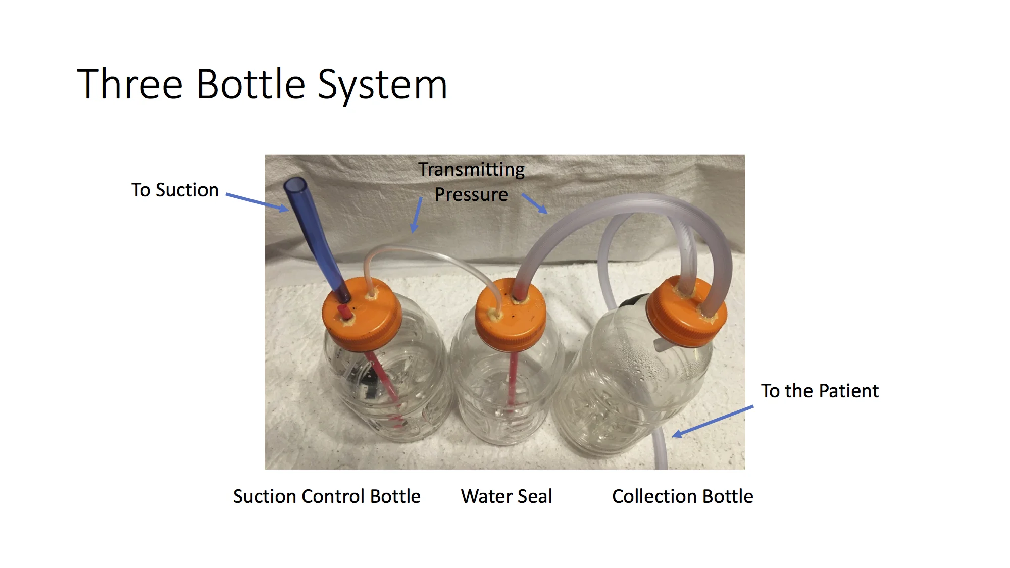 Three Bottle.jpg