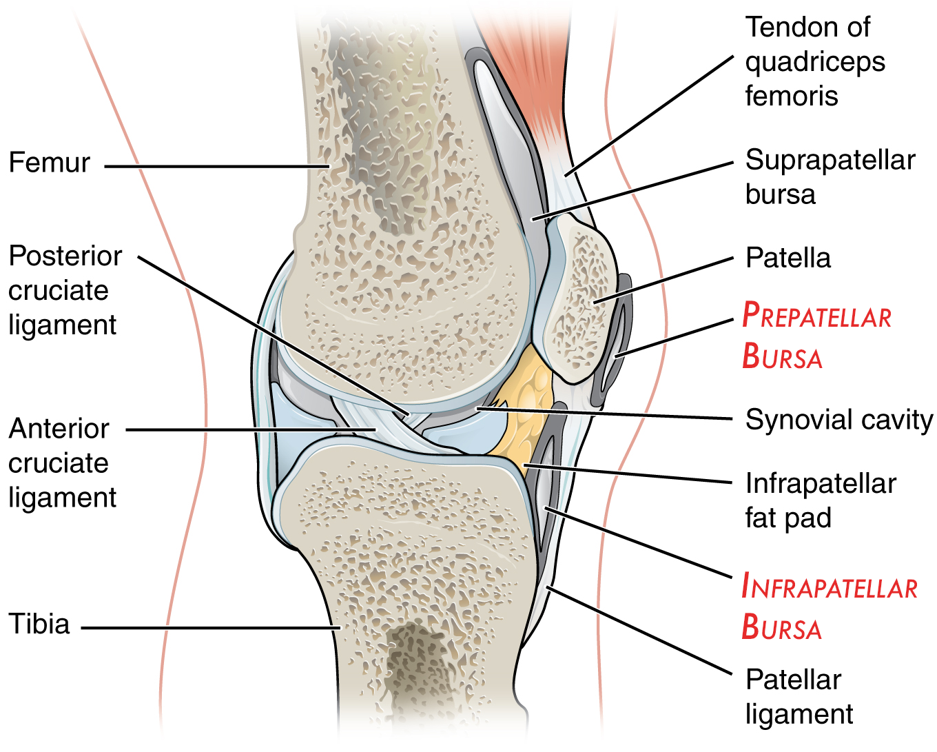 cum să ușurezi rapid durerea în articulațiile picioarelor cum se tratează articulațiile și cum