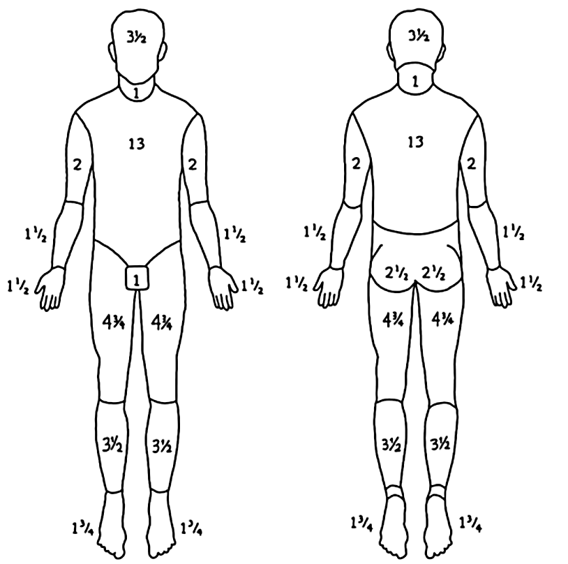 Figure 2: Lund-Browder diagram