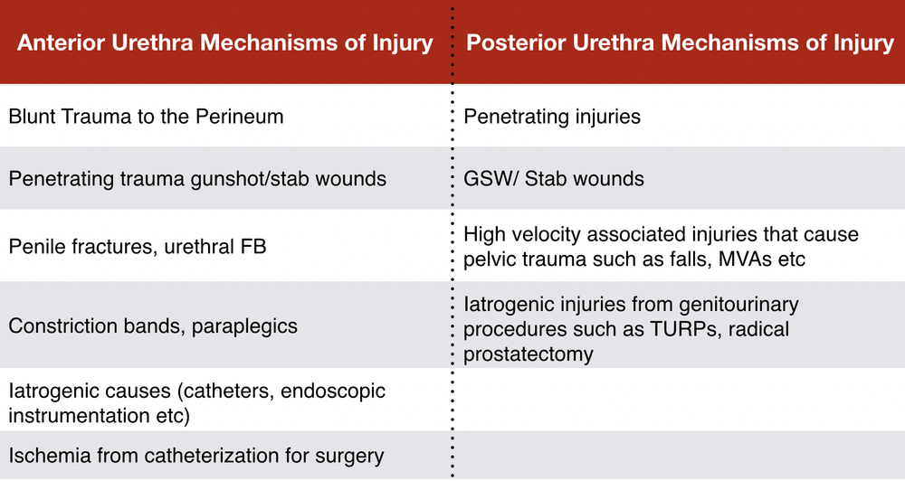 The Importance of the RUG — Taming the SRU