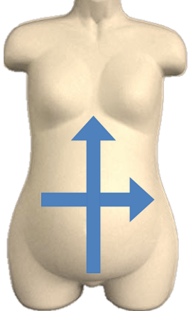 Figure1.png