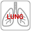 lungs100.png