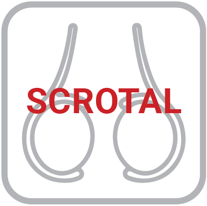 scrotal100-01.png