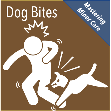 Mastering Minor Care: Dog Bites 