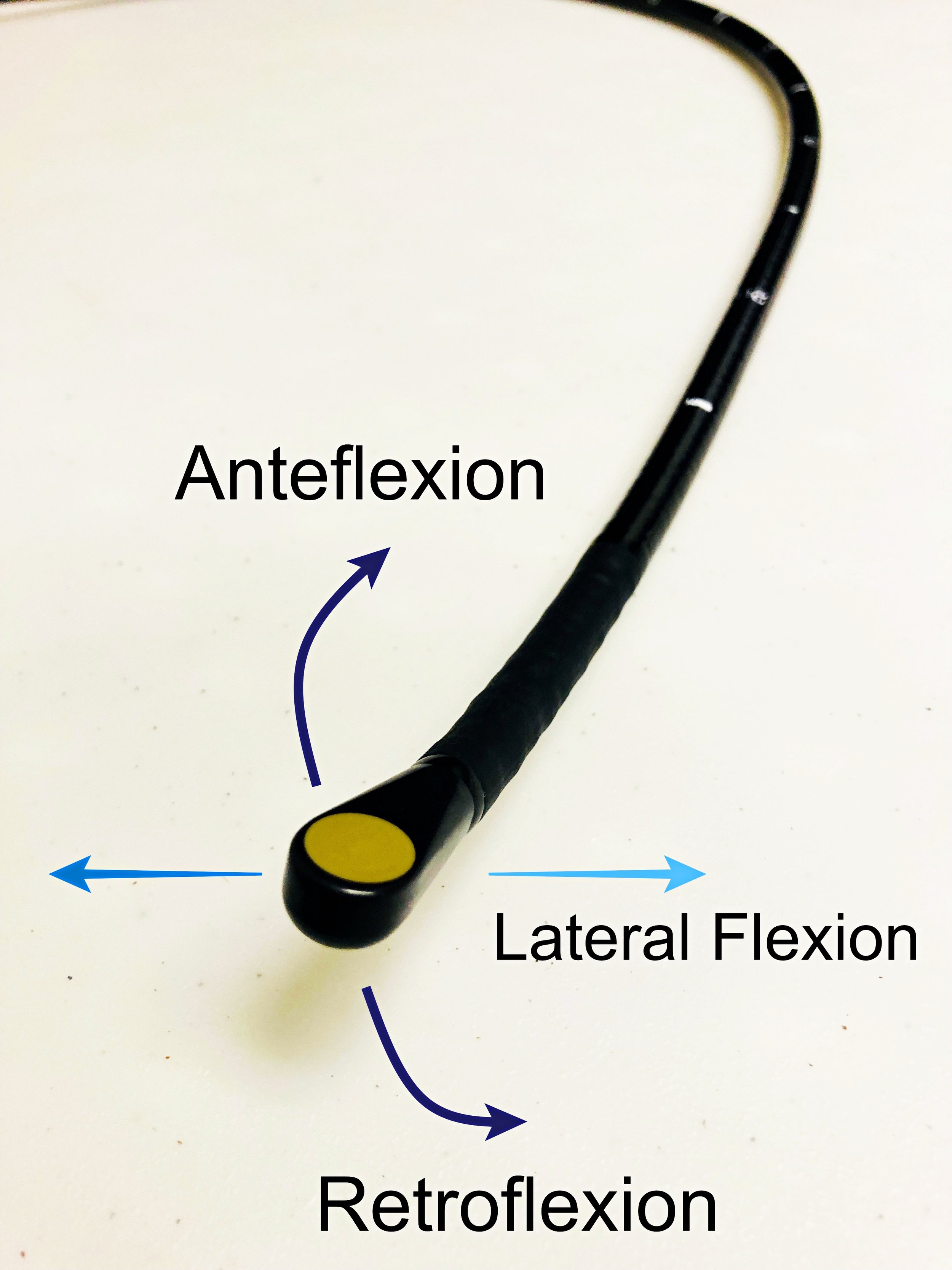 TEE Probe Flexion.jpg