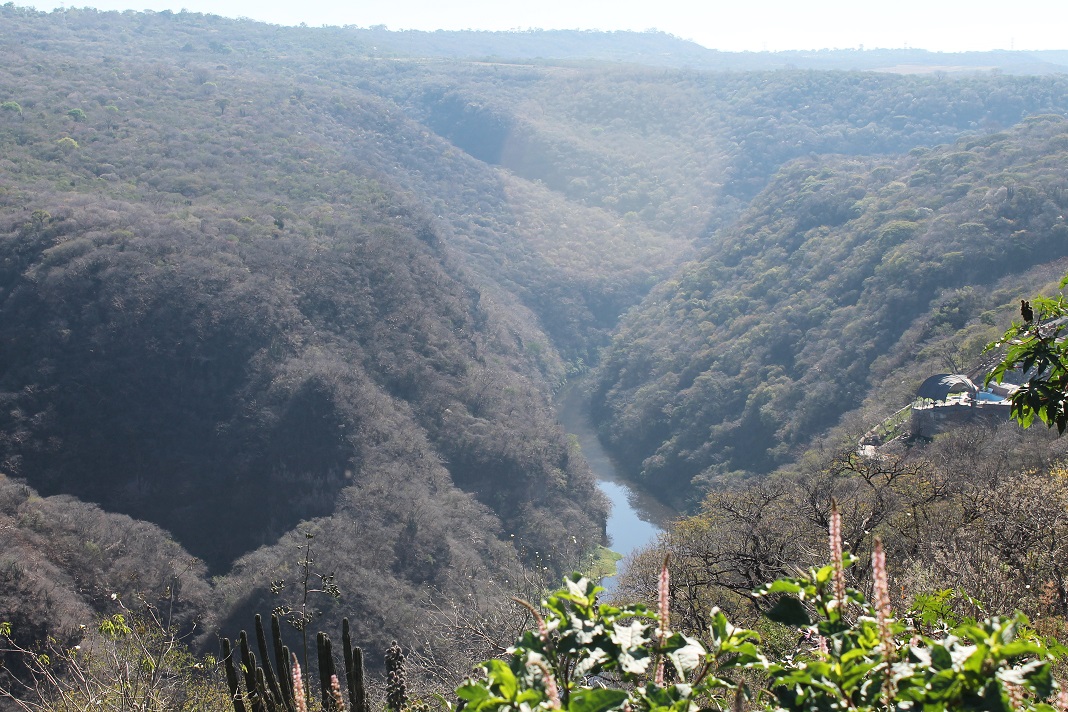 The view of the gorge and river from the land. 