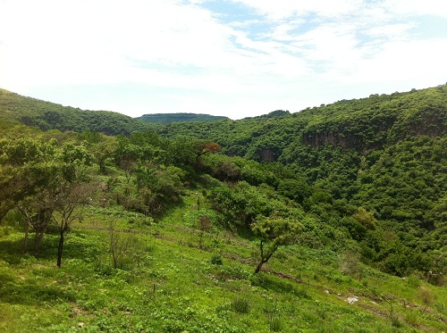 Enfoque Ciudad obtained title to an undeveloped land on the outskirts of Guadalajara. 