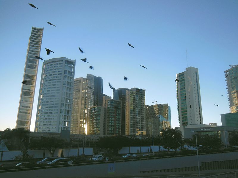 Skyscrapers in Guadalajara.