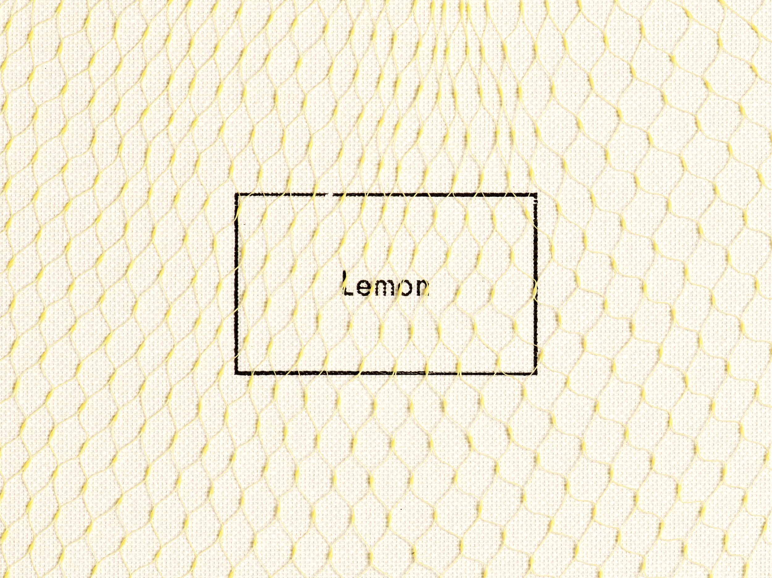 041725_LEMON_02_293 2.jpg