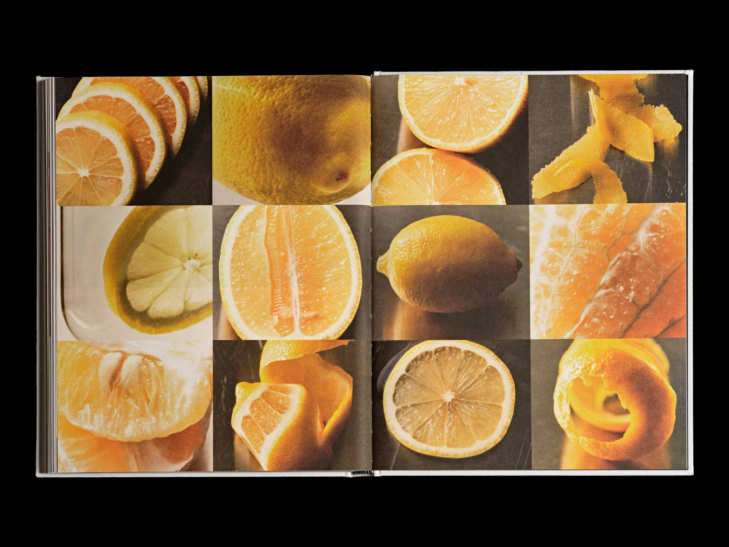 041725_LEMON_02_275.jpg