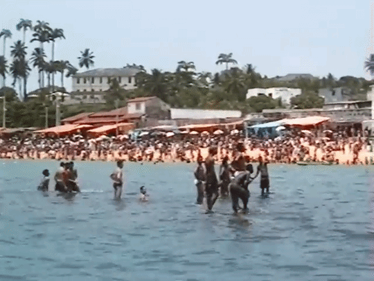 vidssave.comZecaVeloso-BoasNovasVideoOficial480P-ezgif.com-video-to-gif-converter (1).gif