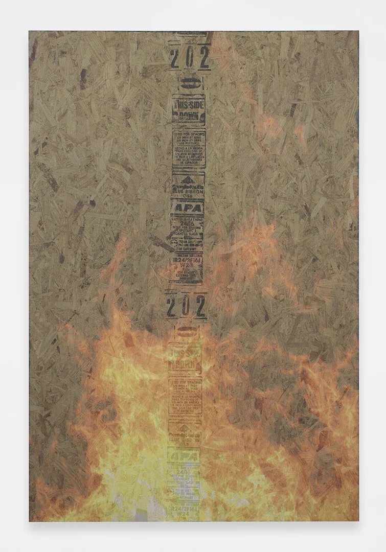 Bonfire 2<br>4’ x 6’<br>2014