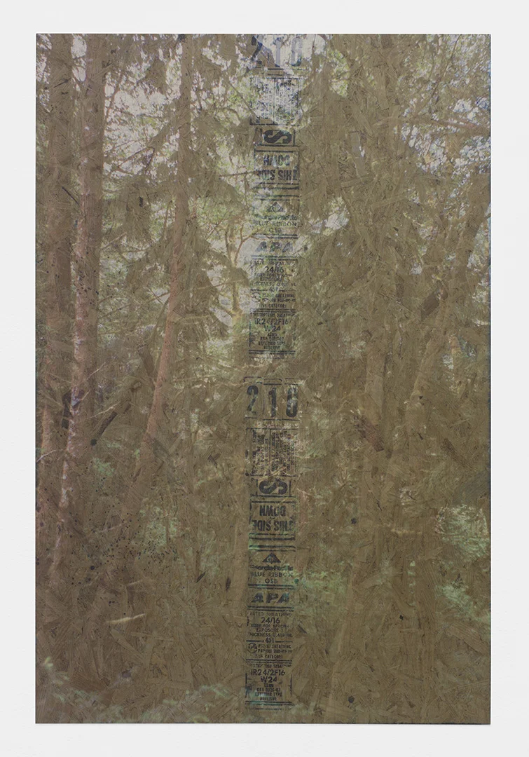 Canadian Tuxedo<br>4’ x 6’<br>2014