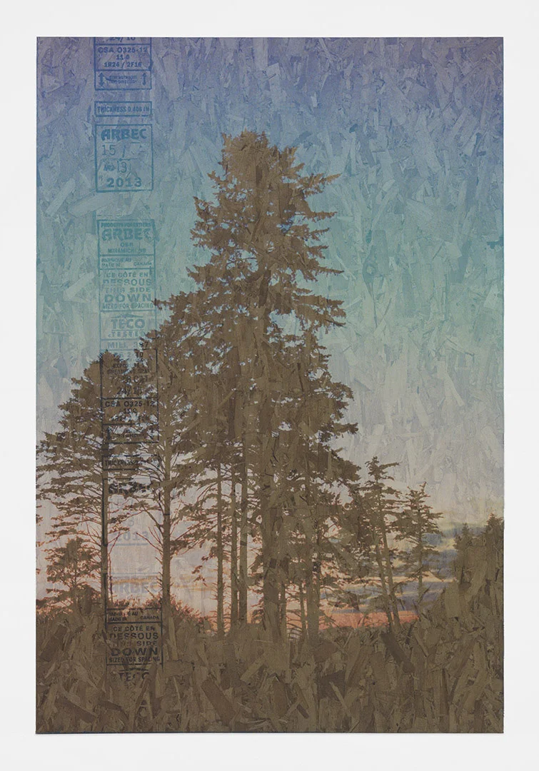 Olympia Washington Home of the Crust Punk<br>4’ x 6’<br>2014
