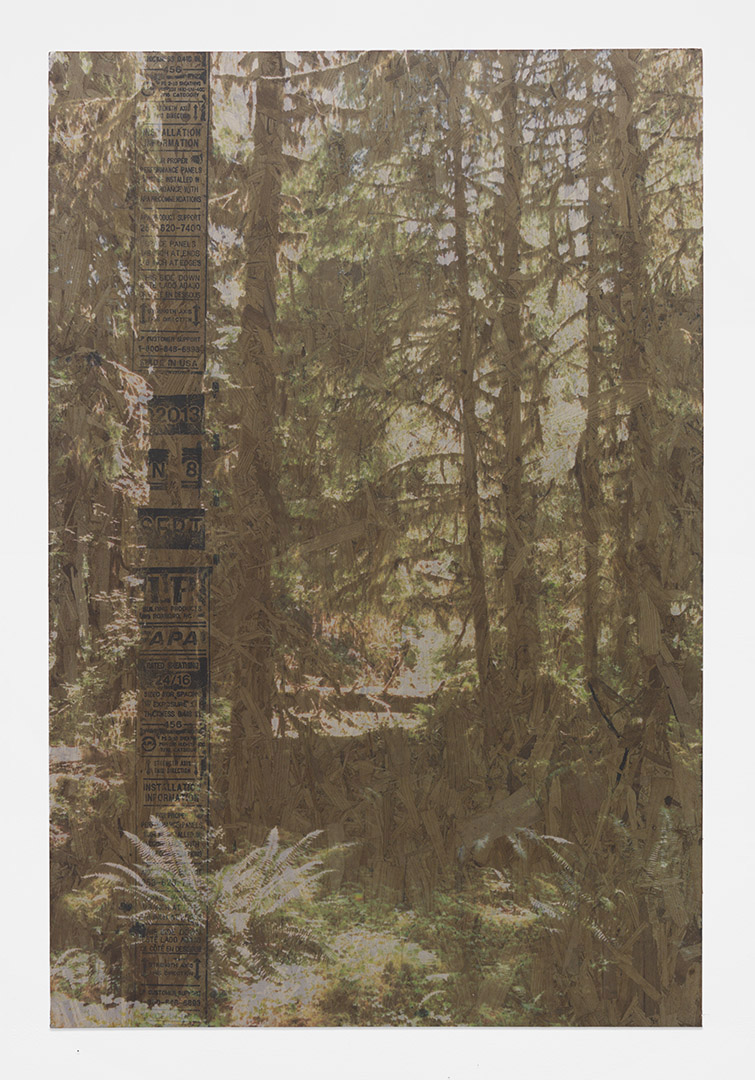 The Man in the Ghillie Suit<br>4’ x 6’<br>2014