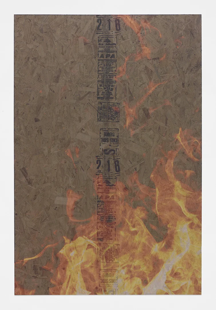 The Aging Skater<br>4’ x 6’<br>2014