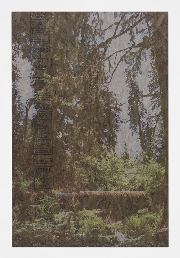 Where Guitars Come From<br>4’ x 6’<br>2014