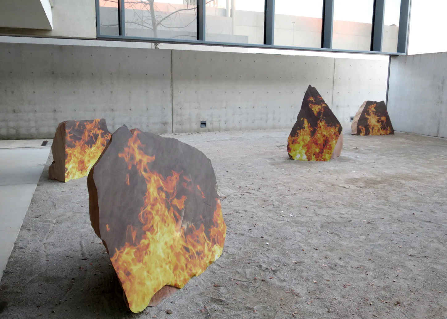 Forest and Fires