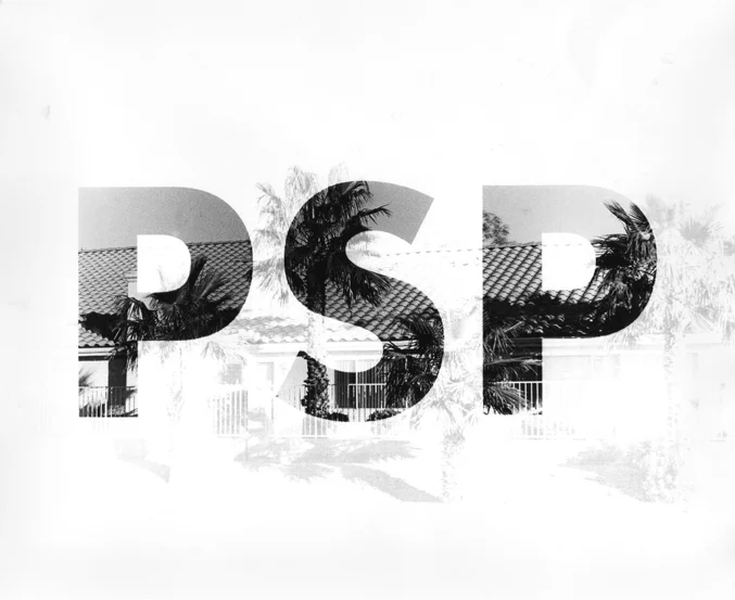 PSP.jpg