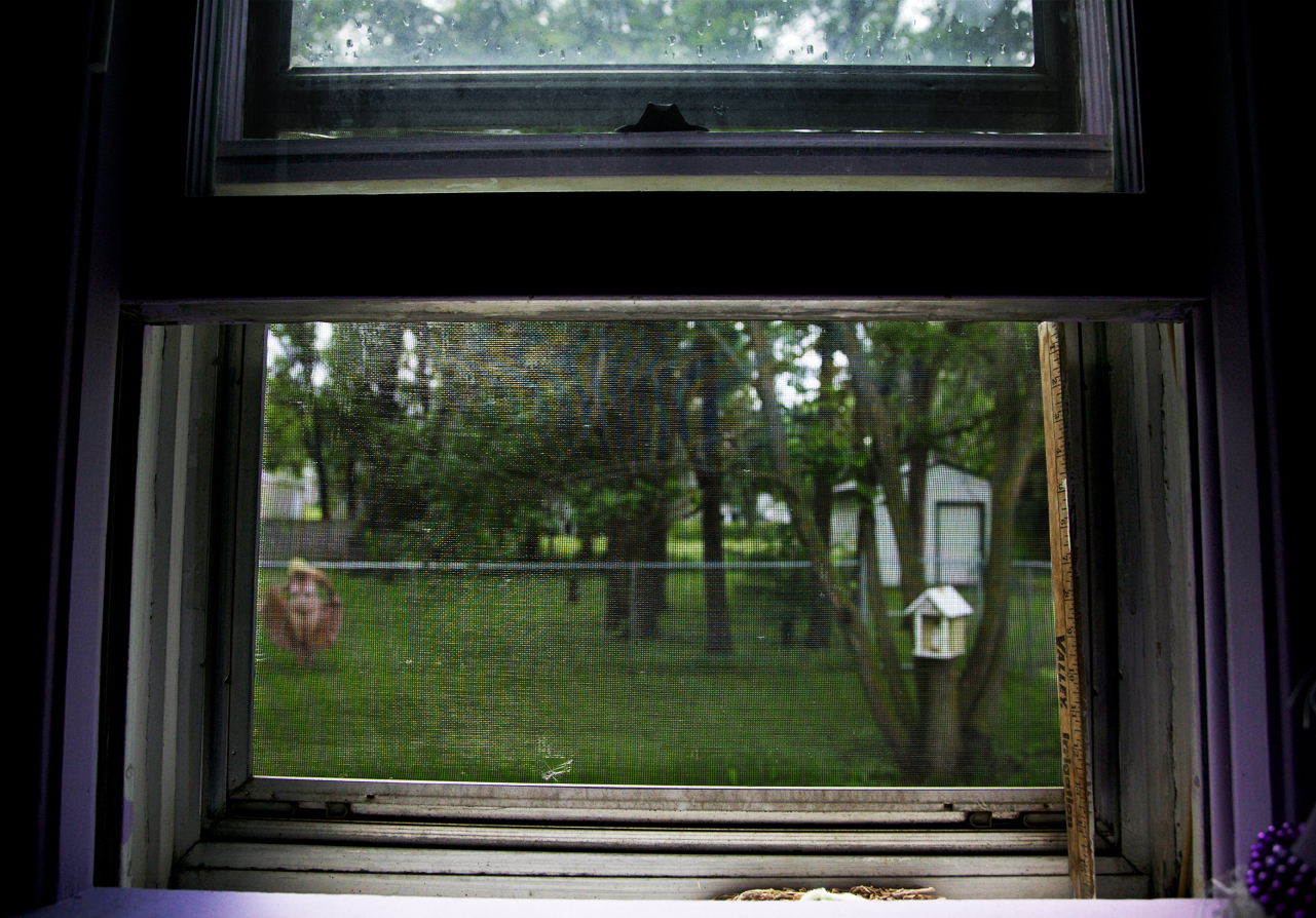WIndow.jpg