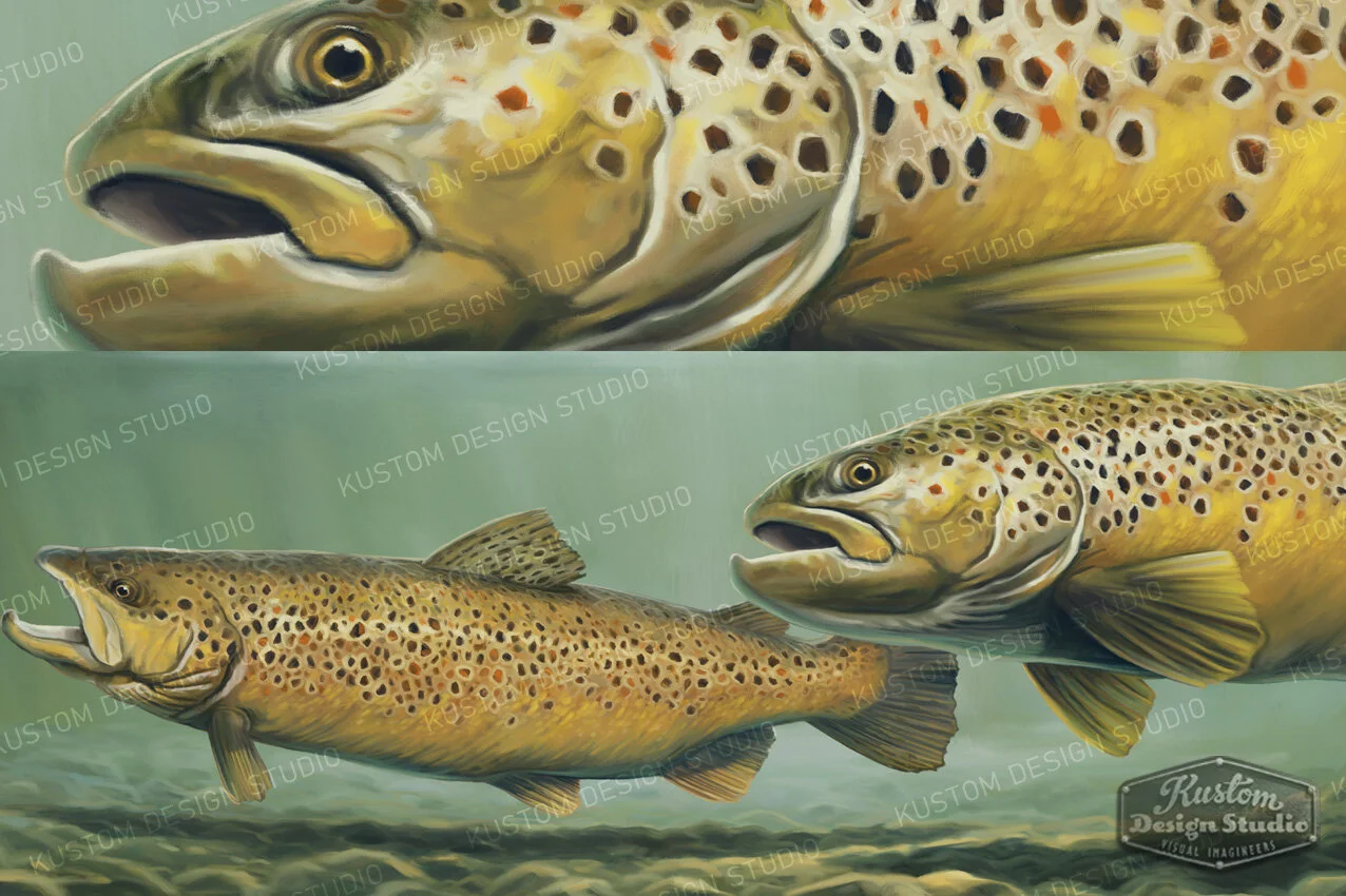 brown-trout-fulll-wrap-closeup.jpg