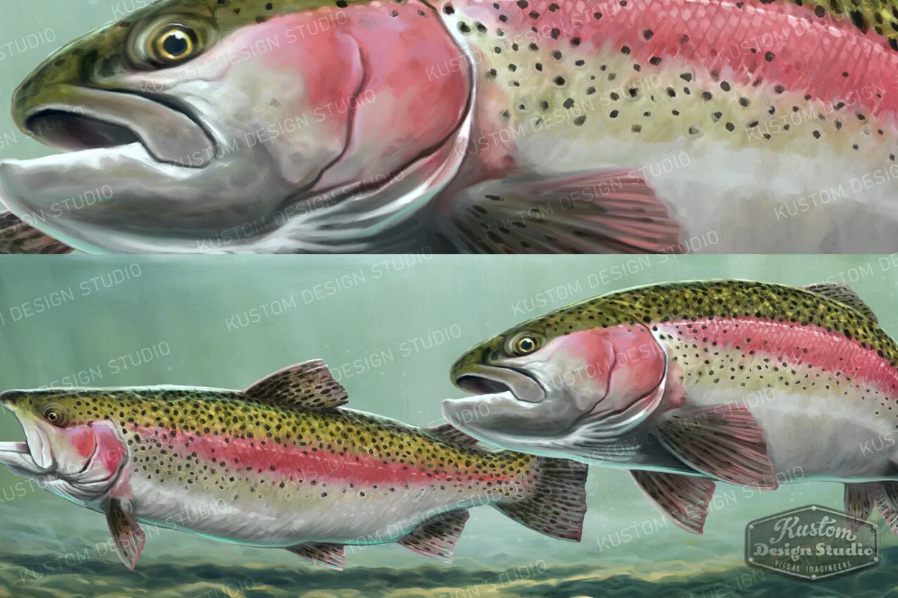 rainbow-trout-full-wrap-closeup.jpg