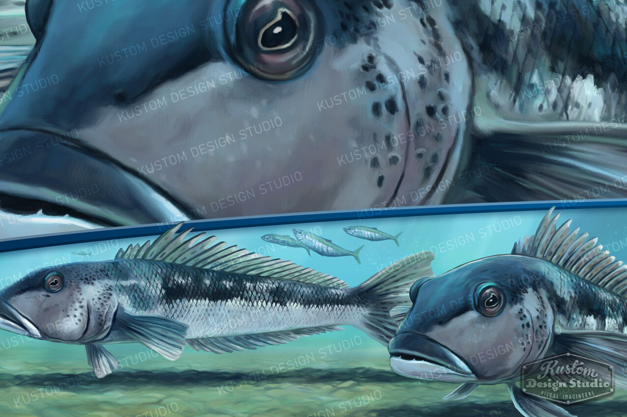 Blue-Cod-partial-wrap-closeup.jpg