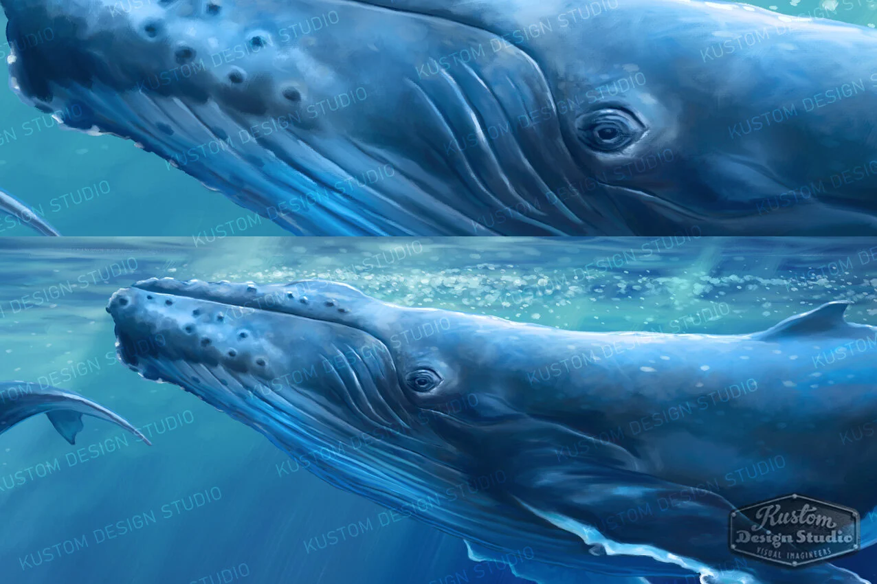 humpback-whale-full-closeup.jpg