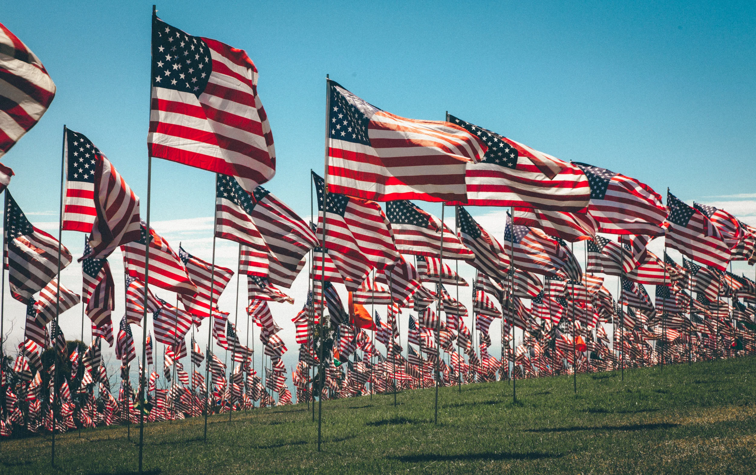 Alumni Flags Horizontal.jpg