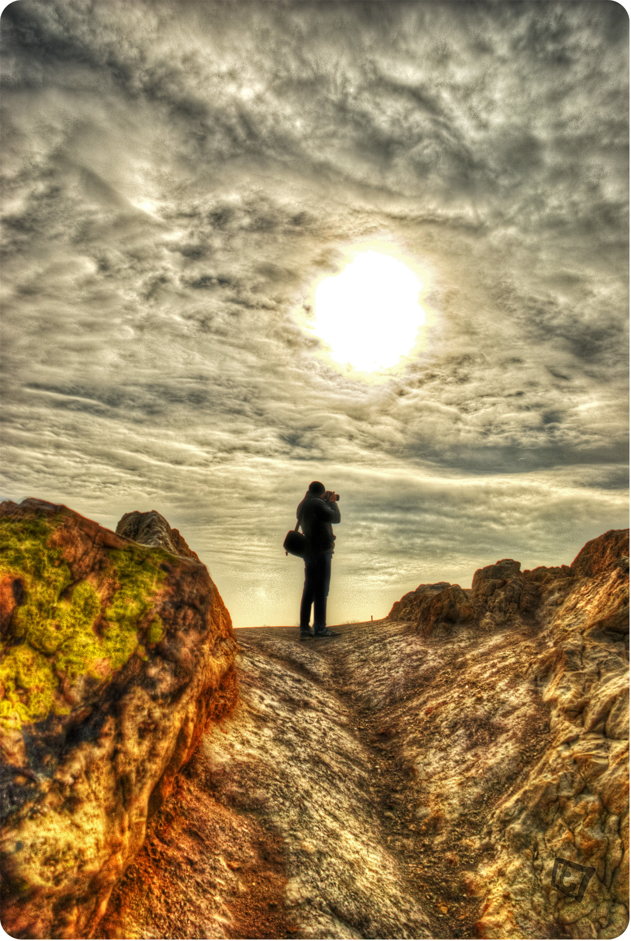 The Photographer