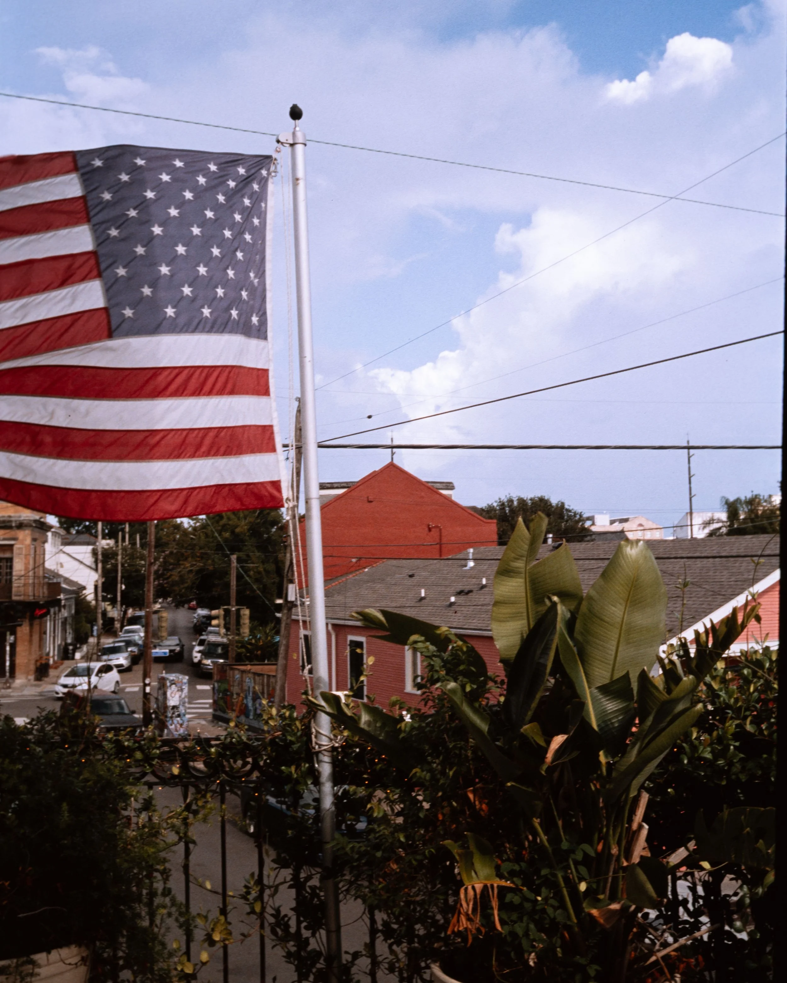 L1060778.jpg