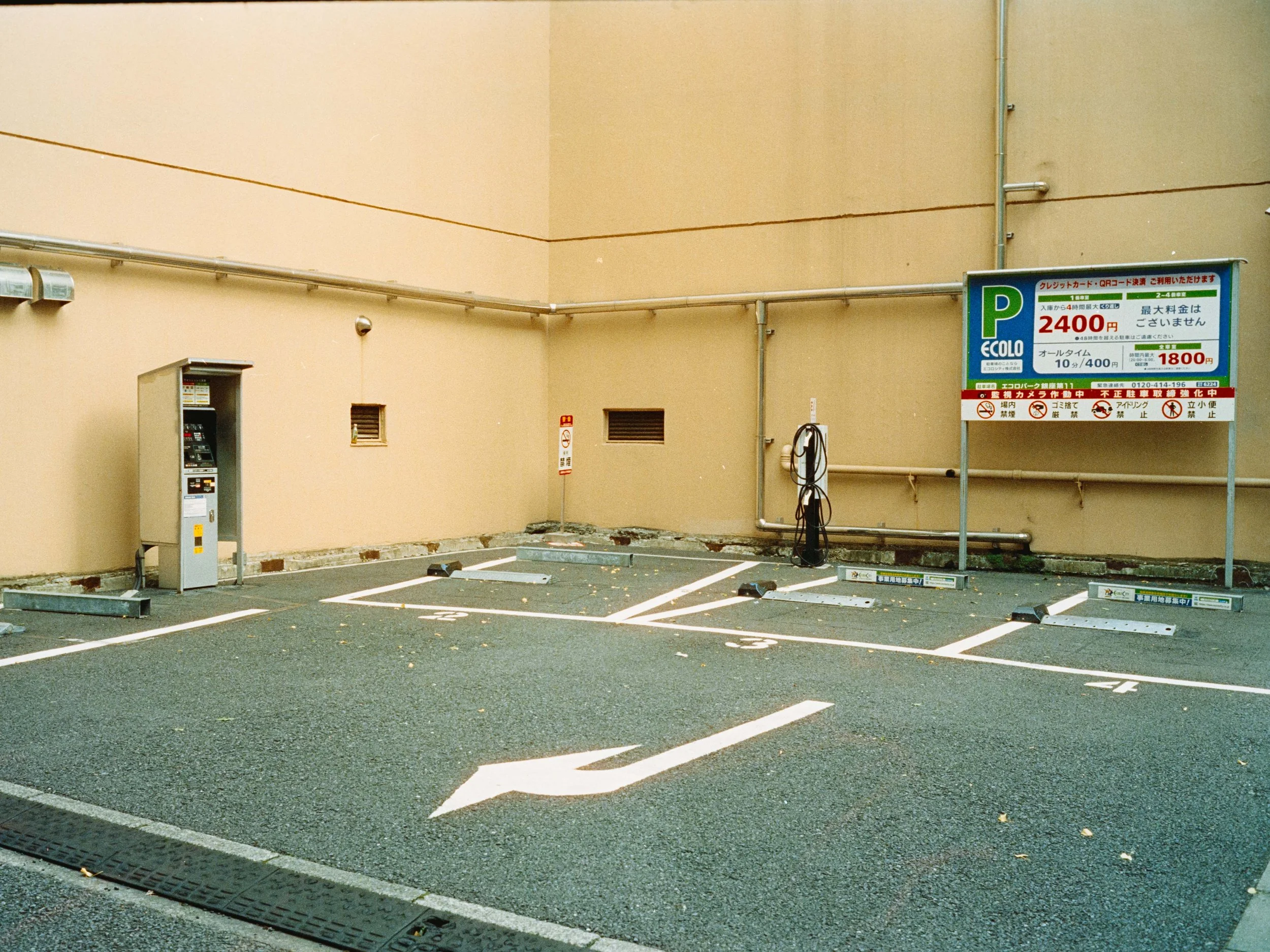 L1000273.jpg