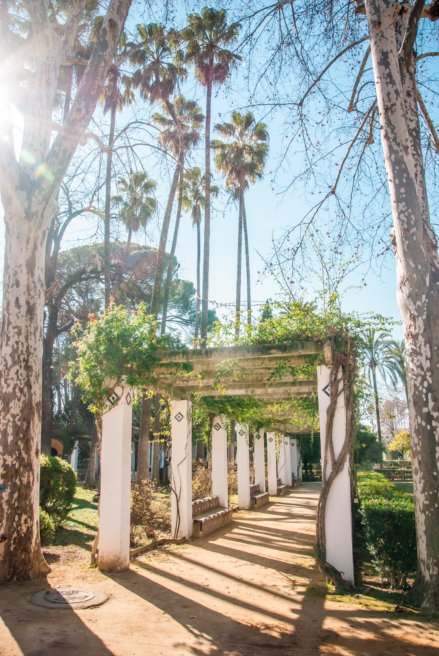 Maria Luisa's Park