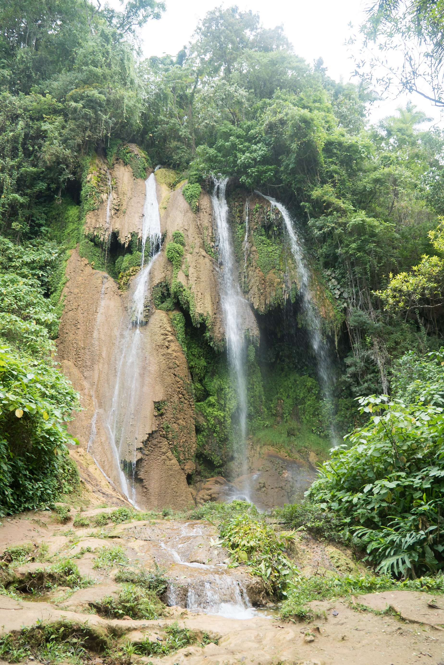 Park Guanayara