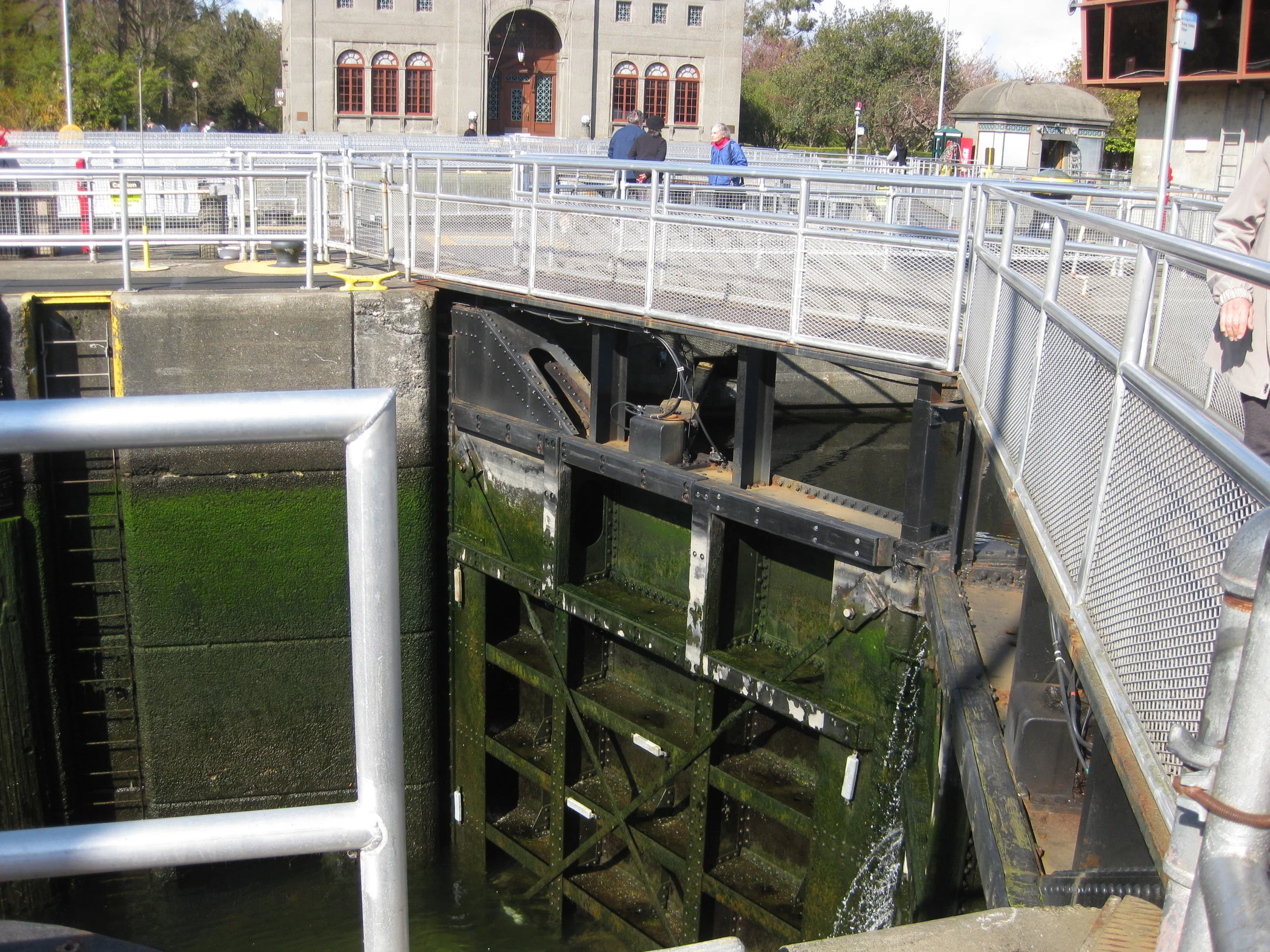  ballard locks  salmon bay, seattle  2011 