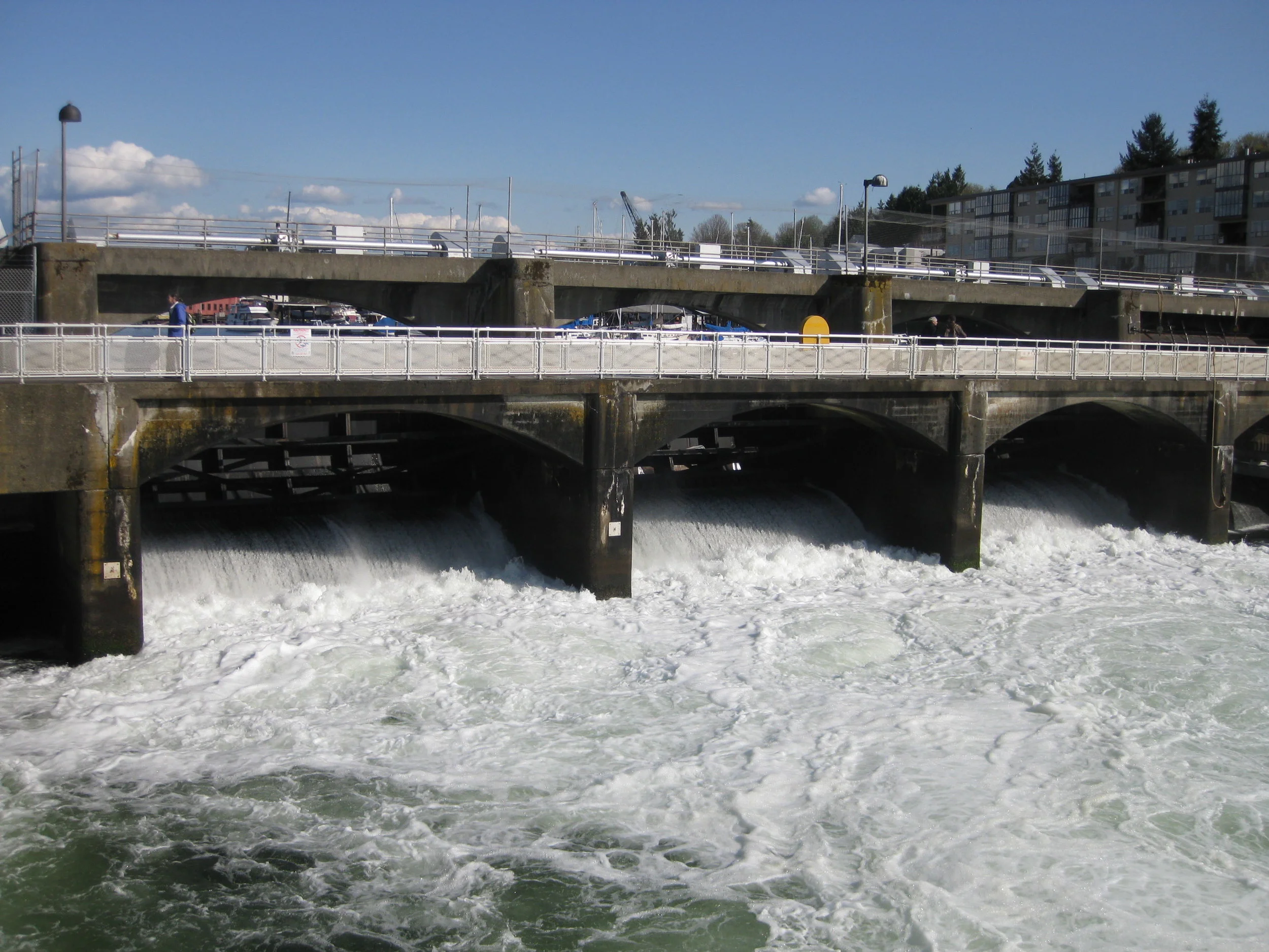  ballard locks  salmon bay, seattle  2011 