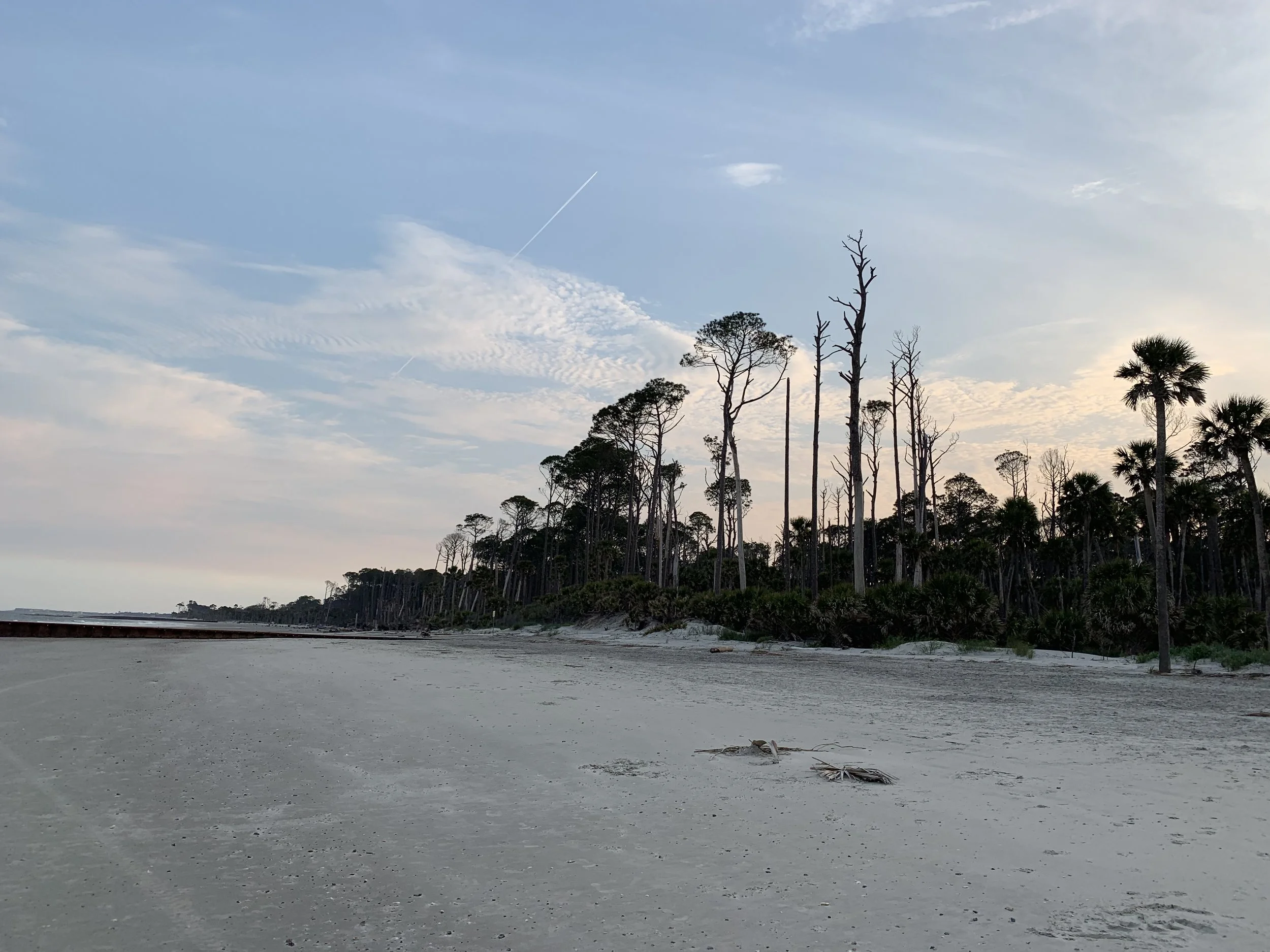  huntington beach state park   south carolina  2019 